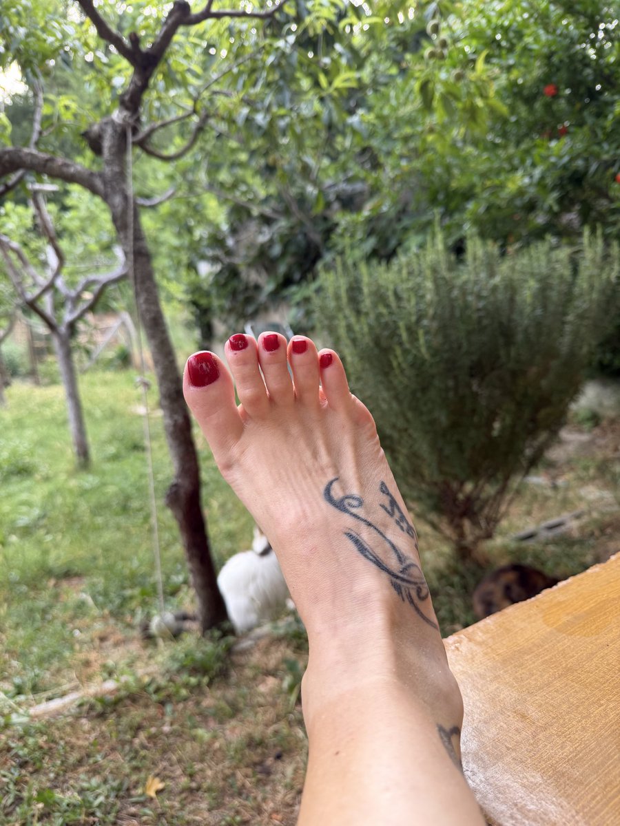 DiannaSymard's tweet photo. Barefoot https://t.co/VKyycUrL1u