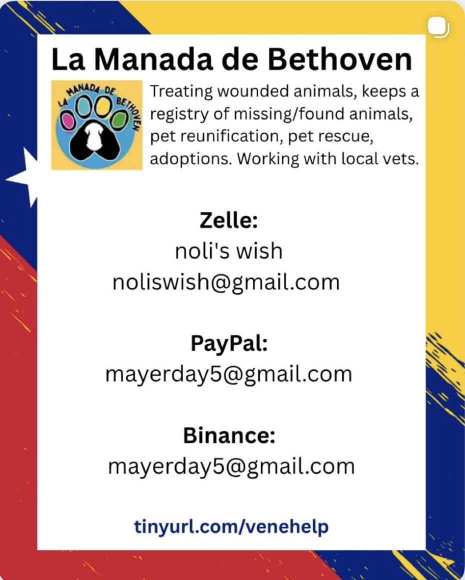 ThomasVLinge's tweet photo. Here are a couple examples of reliable organisations to which you can donate in the aftermath of this horrible earthquake in Venezuela 🇻🇪 https://t.co/YxdUJi0k5u