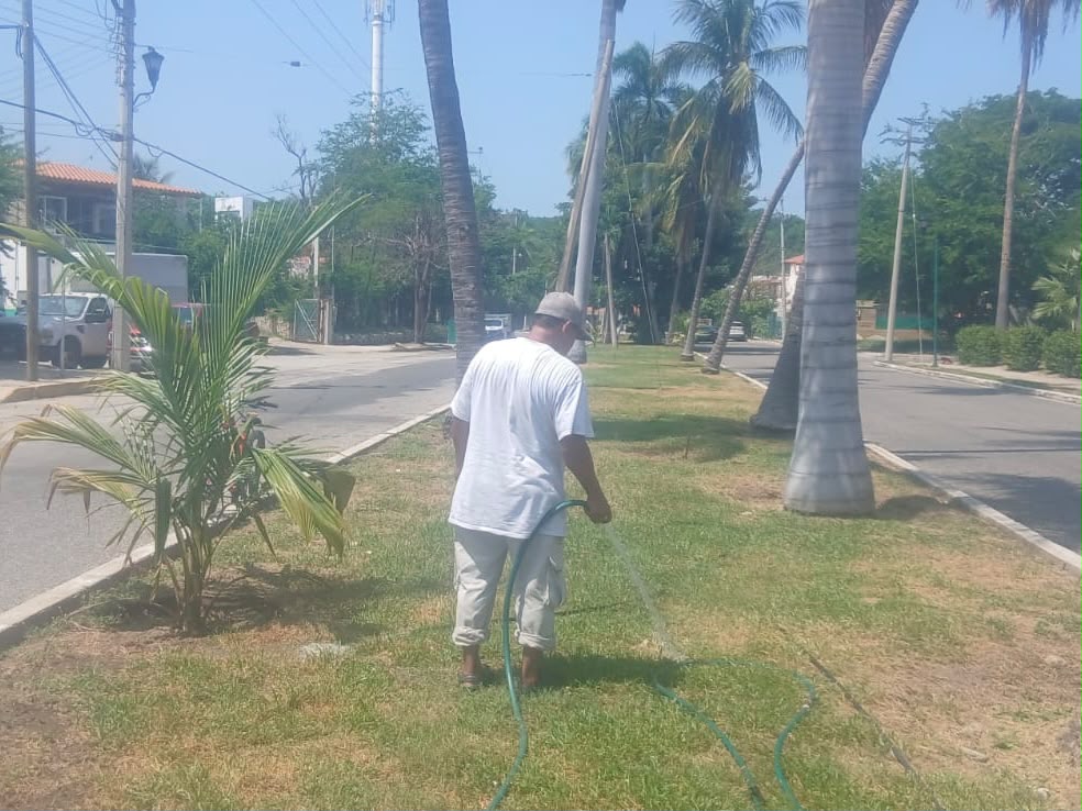 ciphuatulco's tweet photo. Ante la disminución de lluvias registradas en la región, el CIP Huatulco reanudó las labores de riego con agua tratada en parques, camellones y áreas jardinadas del destino, luego de haber suspendido temporalmente estas acciones. https://t.co/5gQY0Z6zEb