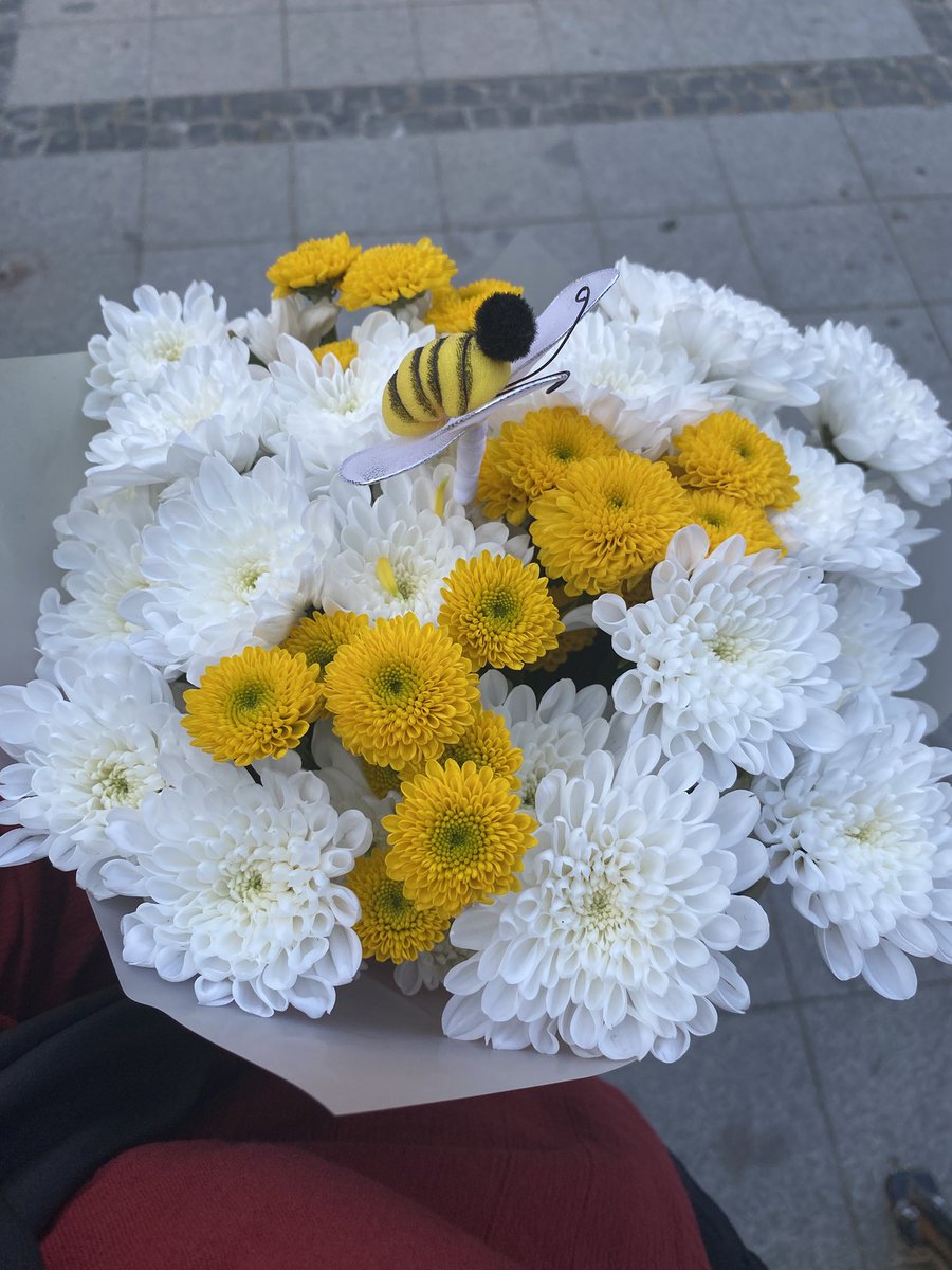 sowlians's tweet photo. çiçeğime bakın, staj çiçeğim🥺💐 https://t.co/zby6QORY5T