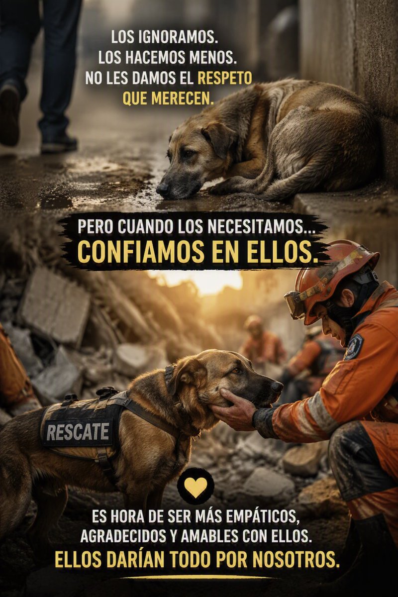 Perrosenlacalle's tweet photo. Hey! Esos que los maltratan, abandonan e ignoran. Espero que nunca sea necesario que un héroe de estos 🐶🐾🐾 los tenga que rescatar... https://t.co/De0Uk2FWDi