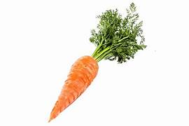 freakmasteriii's tweet photo. i'm literally blanking i have no idea what my monthly post should be. carrot https://t.co/GIJb7O0Fhv