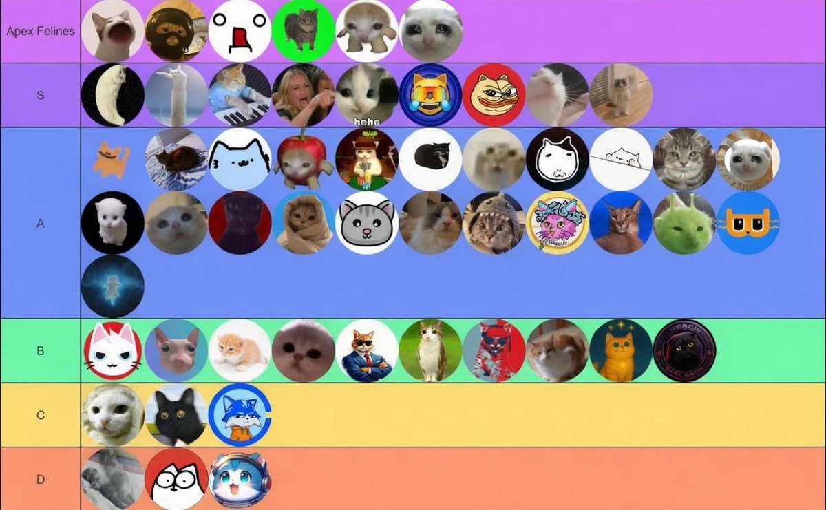 cryingcatsol_'s tweet photo. Where my apex felines at? https://t.co/jfdLy0AjfH