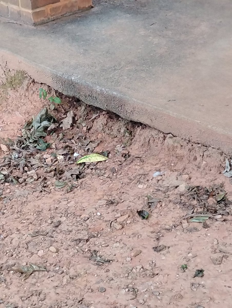 BrianGay13845's tweet photo. @FOX5Atlanta Still pavilion (2) 700 thou wow each Material Product defaults Breach of contract workmanship Defects product liability construction defects @bobbarr @AnthonyMKreis @Michealvenatti @dcs_dwayne @McdonoughLawyer @McdonoughSawyer @McDonoughPower @KennethNugent https://t.co/9mtWha9fEx