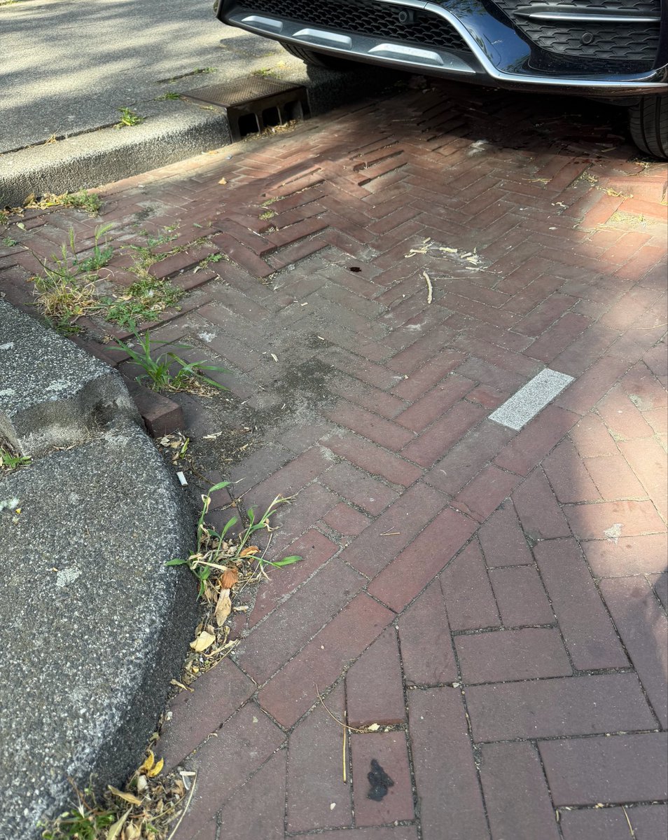 SamenTransvaal's tweet photo. @GemeenteDenHaag Ter hoogte van Delagoastraat nr 10 hoek Bloemhofstraat Tegels los en hobbels op parkeerplaats graag opknappen. Op de Bloemhofstraat meer loszittende stoeptegels. Graag actie! https://t.co/62bhNV8KUX