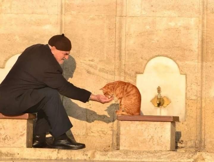Kelamkalesi's tweet photo. “Kalplerin kalplere mesafesi Allah'ın müsadesi kadardır.” https://t.co/NlSwm4kSEd