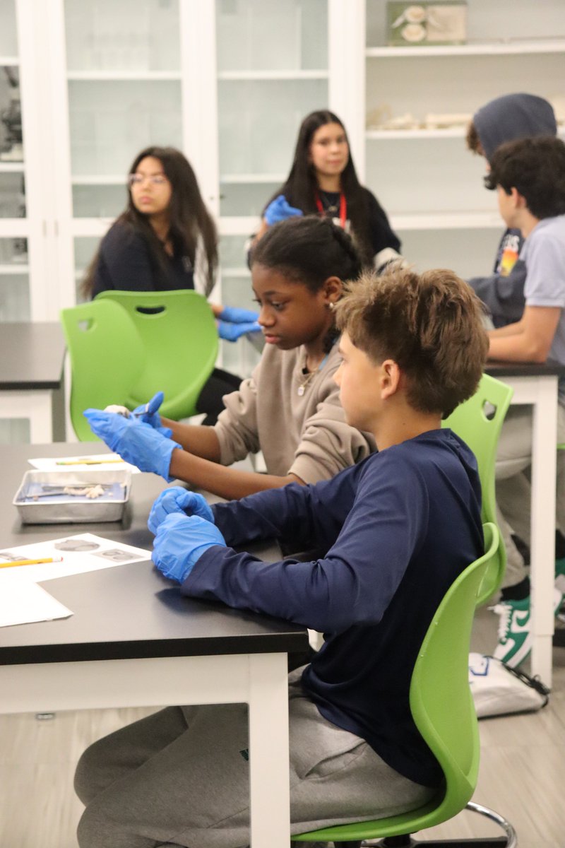 DePaulPrep's tweet photo. Members of the Class of 2030 spent the last few weeks making friends and tackling some incredible experiences - like dissecting a cow eyeball, discussing Patron Saints of Nothing, and reaching new heights on the ropes course at The Forge. https://t.co/mvDpeNR8Ec