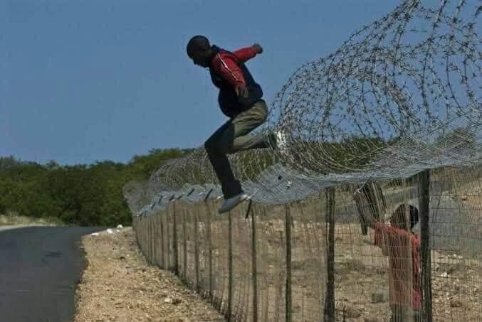 Zee_Seed9's tweet photo. :
:
Dear Zimbabweans, Malawians, Mozambicans and Basotho especially Zimbabweans. This is how y'all came to SA why do you need busses Now? Go the same way you came.

Or your are fat now you can't do all this? What do you know about busses Nina? https://t.co/6d7mTk3WQW