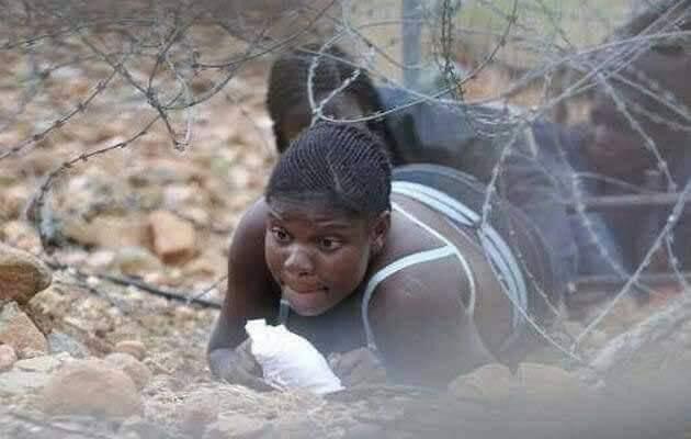 Zee_Seed9's tweet photo. :
:
Dear Zimbabweans, Malawians, Mozambicans and Basotho especially Zimbabweans. This is how y'all came to SA why do you need busses Now? Go the same way you came.

Or your are fat now you can't do all this? What do you know about busses Nina? https://t.co/6d7mTk3WQW