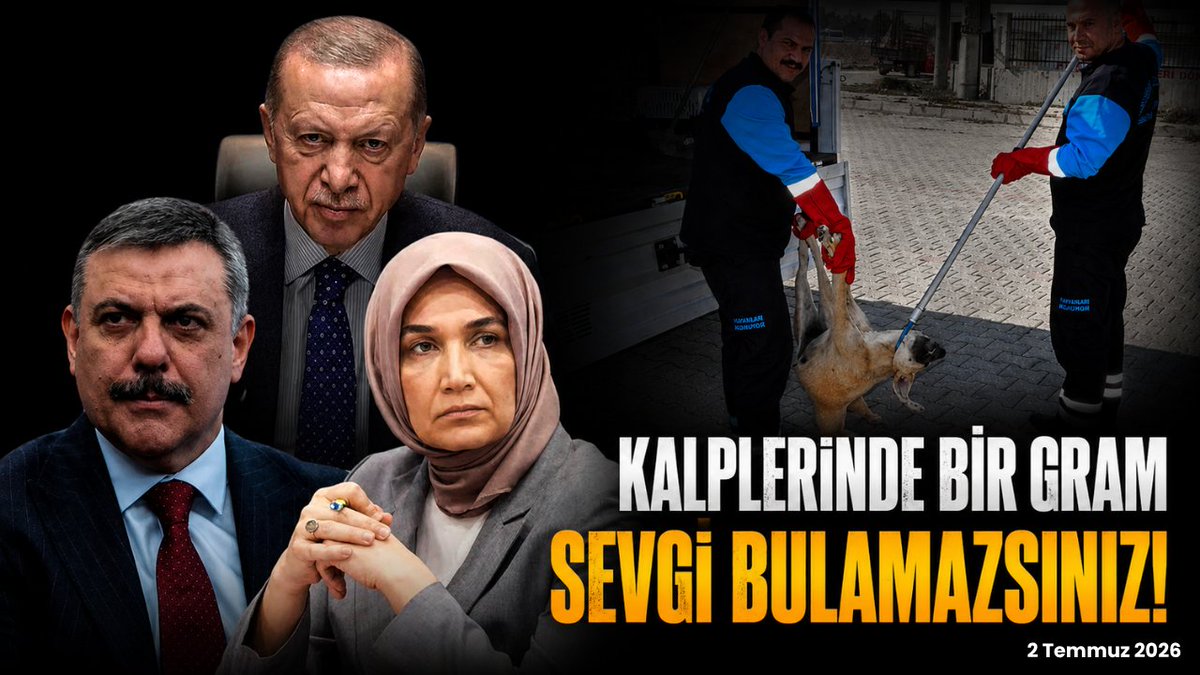 N_EfeHKP's tweet photo. İşte nereden baksak bu Tayyipgiller’in tüm takım taklavatlarıyla birlikte “Bin Yılın Felaketi, Kötülüğü ve İhaneti” olduğu görülüyor. Buna binbir somut örnek verilebilir.

Derinceli kardeşimizin aşağıdaki feryadı, işte bu somut örneklerden sadece biri...

https://t.co/rOFDRnHRGJ https://t.co/gSLFNkXqGb