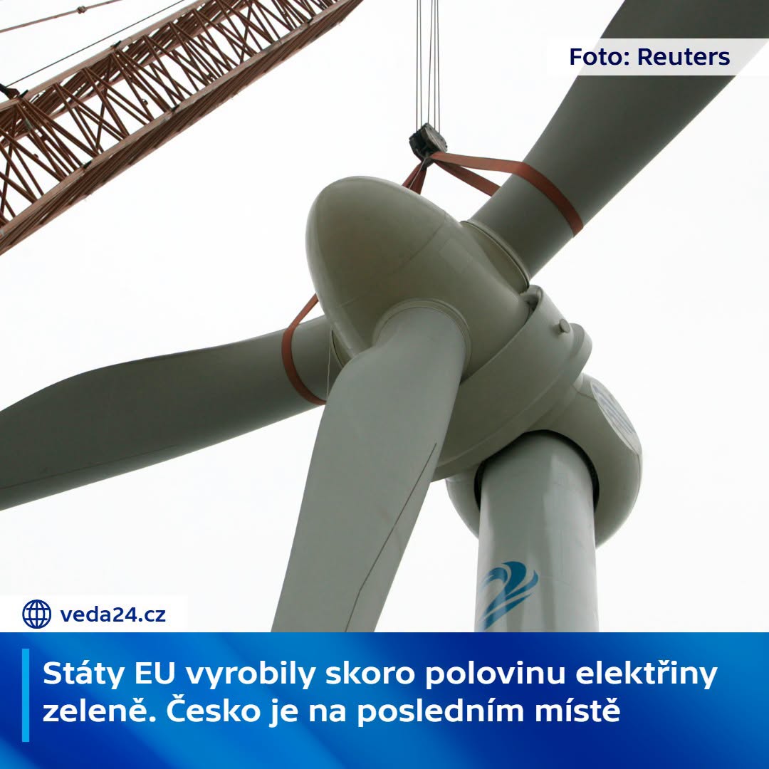 HerrHomolka's tweet photo. Chvála Bohu za to 👍 Kolaborantům z ČT se to asi nelíbí 😃 Ale národ může být rád za to, že nemá krajinu tak moc zničenou zasranýma vrtulema a města zničený zasranýma migrantama. V těchto (i dalších) aspektech musíme zůstat co nejvíce zaostalí ✊ A nejlépe úplně mimo (EU) 🖕🇪🇺 https://t.co/KIEICpHDZJ