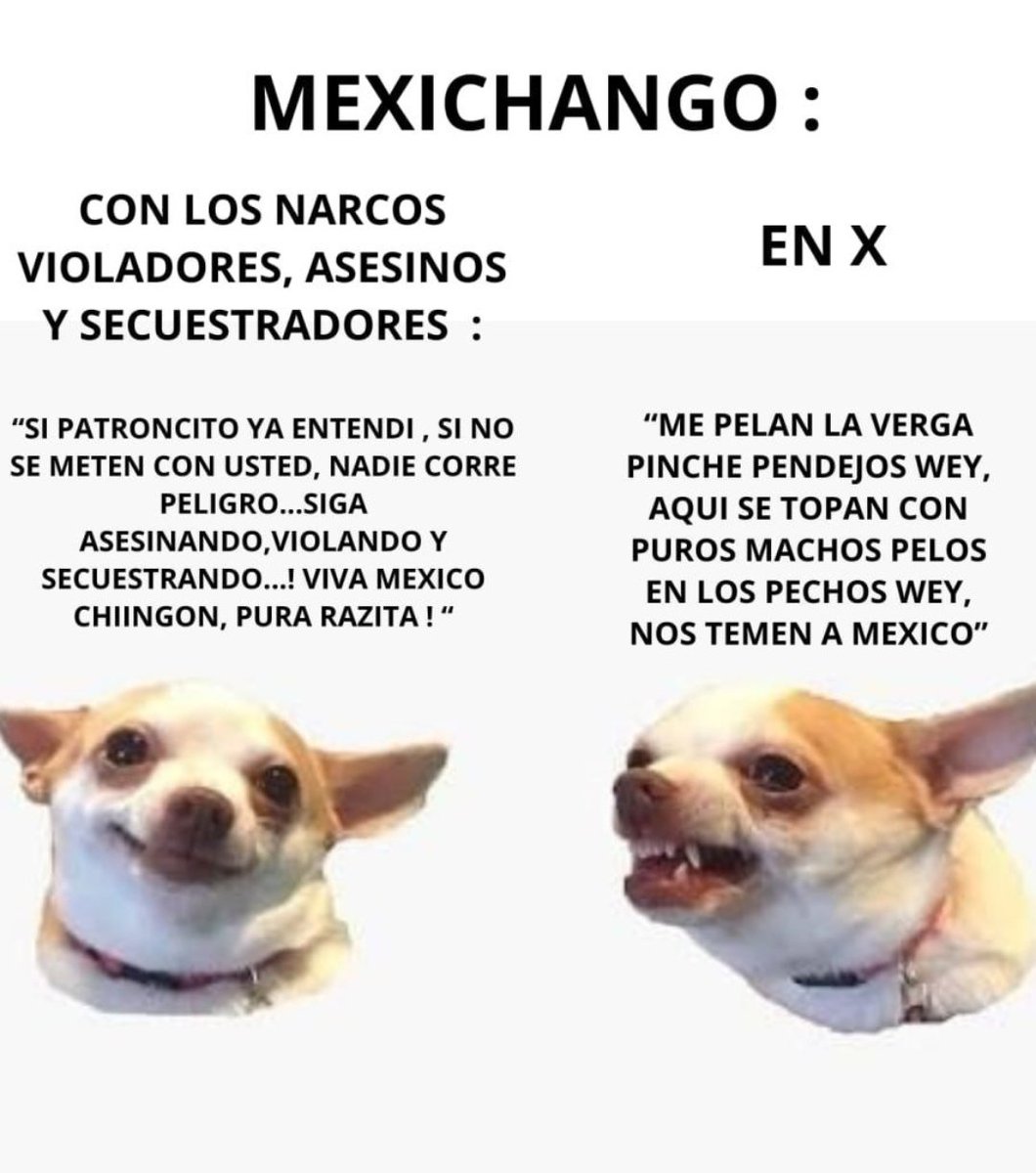 SebasTi40622787's tweet photo. @ramiroaguilart Les quedó grande https://t.co/9dUxcFYfLl