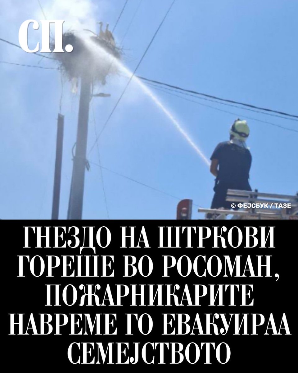 metokara09's tweet photo. Во септичката јама од негативни вести, барем и нешто убаво да излезе! Браво!
♥️♥️♥️ https://t.co/DEu0E9Xout