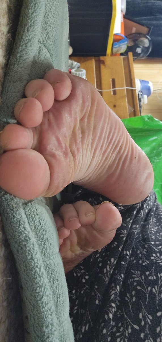 kitten23469's tweet photo. Need a good massage 
#feetfetısh #feetworshi̇p #sole #footfetısh #foot #customize https://t.co/l3z97OGBmy