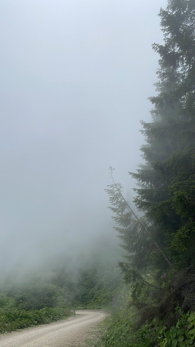 BruceRoberttson's tweet photo. The Lonely Shepherd 📷 https://t.co/xX43UUmcO7