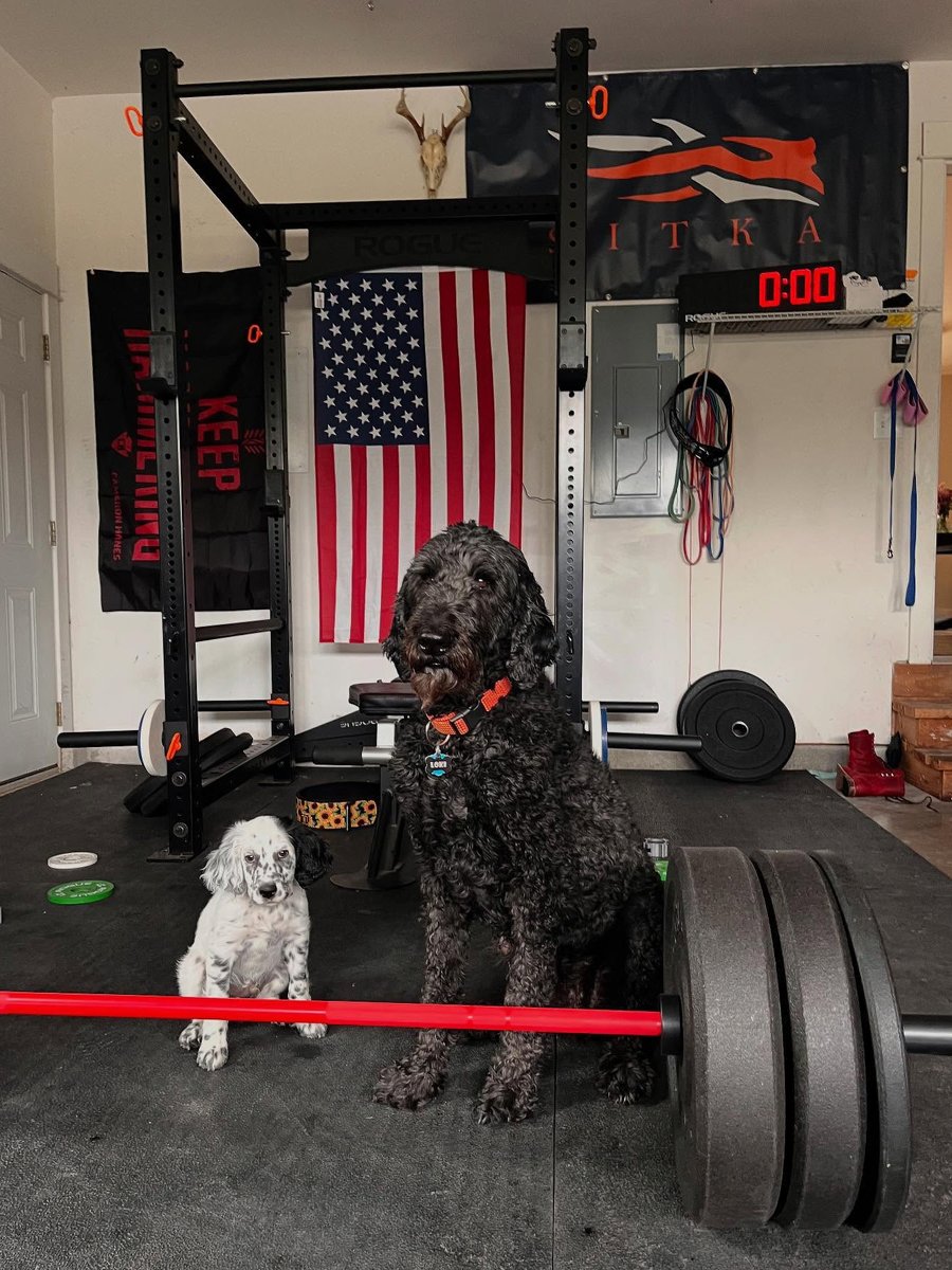 RogueFitness's tweet photo. Happy 4th of the July from the Rogue Crew 🇺🇸

Celebrating 250 years of red, white and blue!

#ryourogue #july4th #madeinusa https://t.co/WAd9QrExhh