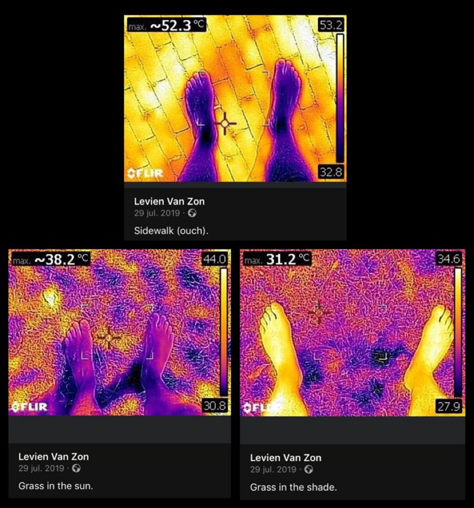 AlejandroCence2's tweet photo. Temperatura en la piedra (52ºC), en la hierba (38ºC) y en la hierba a la sombra (31ºC). Ojalá algún día nos demos cuenta de todo lo que hemos perdido por quitar el verde de nuestras ciudades y asfaltarlas de punta a punta para poder aparcar en la puerta del bar. https://t.co/LkUbqAM9es