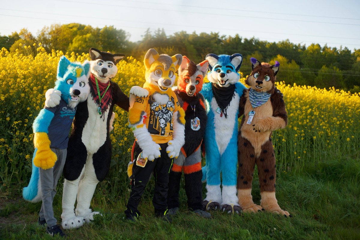 Bloome_BlueFolf's tweet photo. A bunch of outdoors fuffs

📸 @FloekeWusky 
🌐 Furciety

#FursuitFriday #furry https://t.co/XXeJS8hHPo