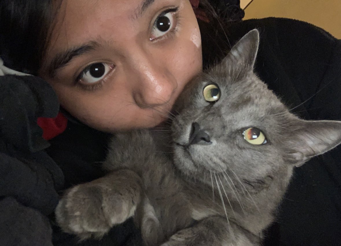 ovelinarow's tweet photo. querido benito;
nunca pensé que llegaría el día  en el que tendría que despedirme de ti, no puedo poner en palabras lo mucho que significaste en mi vida, mi hermana y yo te adoptamos pero tú nos cambiaste la vida. 
gracias por ser el gato mas lindo, guapo y esponjoso https://t.co/e7t3A4PJyZ