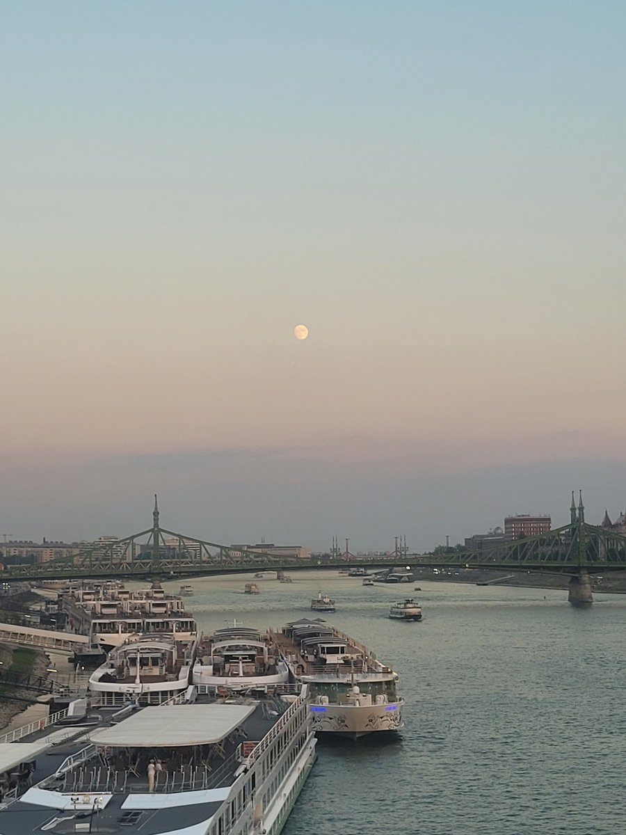 THR_Shrek's tweet photo. Man
Both Budapest and Hungary as a whole really surprised me in a good way. Being based here got 2 weeks and really changed my option on the country.
definitely a country I would happily visit again in the future and explore more of what this area of Europe has to show https://t.co/hNghOuin80