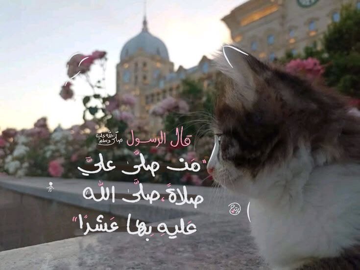 haytheemhassan's tweet photo. تذكير يوم الجمعة : https://t.co/I0anCeuAGG
