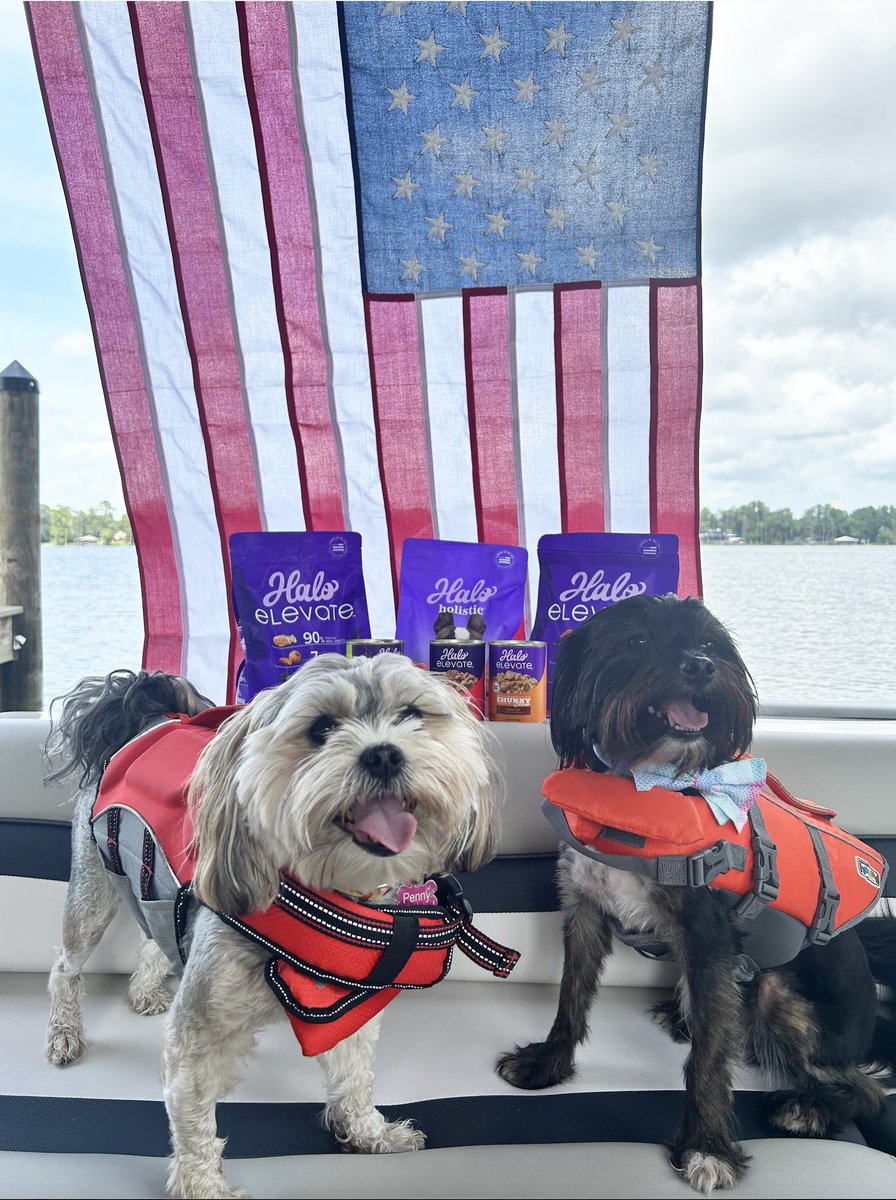 halopets's tweet photo. The flag's not the only thing around here made in the USA. Every Halo recipe is too - thoughtfully sourced ingredients with 100% full traceability. So while your pet enjoys the long weekend, you can feel good about what's in their bowl. 🇺🇸 https://t.co/D3FpB3sxoK