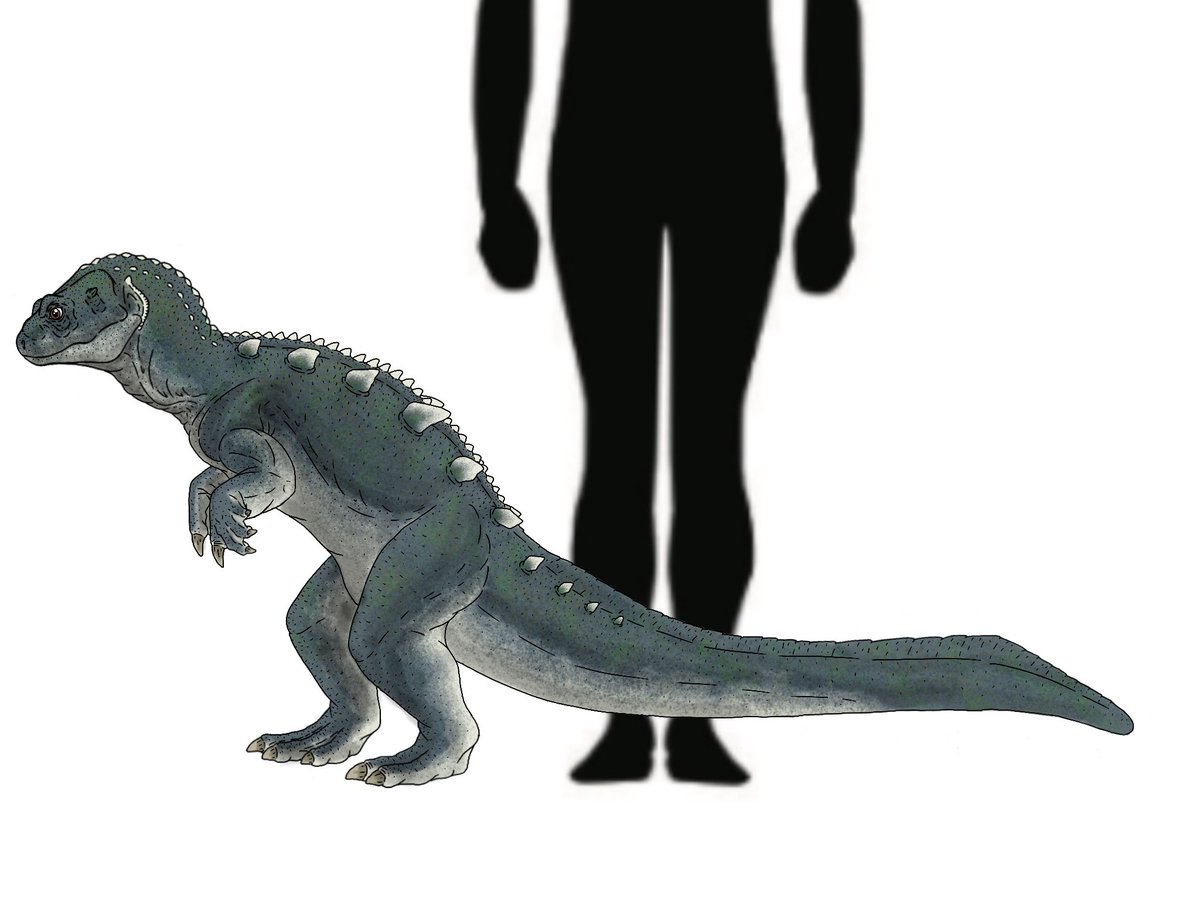 LizardKingPro10's tweet photo. LKPBabyGodzillasaurus aka Baby. This is the start of LKPGojiraJunior. #baby #godzillasaurus #godzilla #gojira #kaiju #dinosaur https://t.co/jv4mEOiZzp