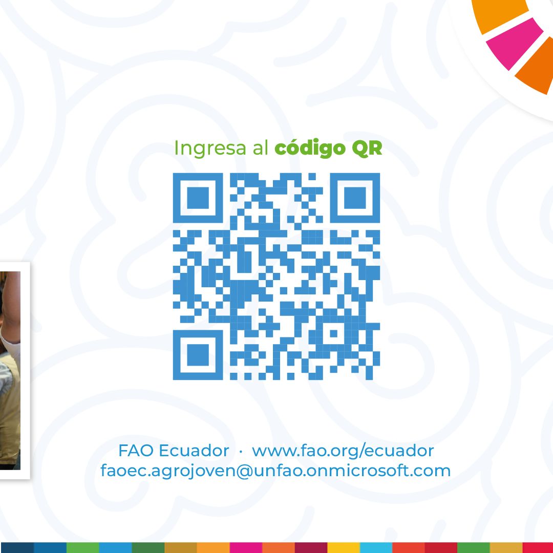 FAOEcuador's tweet photo. 🌱 Tu producto o servicio agroalimentario puede llegar más lejos. 
 
Únete al Programa #AgroJovenEC y forma parte de la red de negocios juveniles basados en biodiversidad, eco-gastronomía, turismo sostenible y más. 
 
Postula hasta 10-Jul 👉https://t.co/fxoigKAUQO https://t.co/8G4UZmhZl4