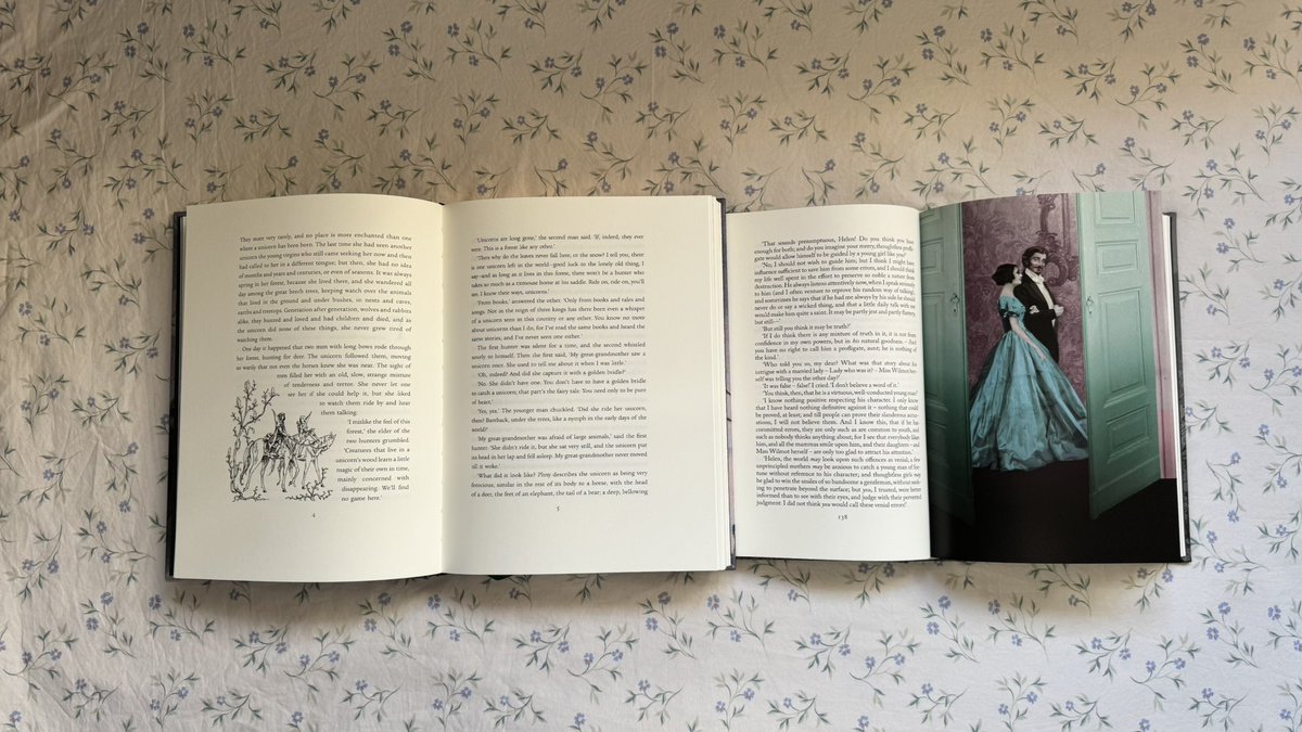 chapterlviii's tweet photo. i went with the last unicorn and the tenant of wildfell hall 🤍 https://t.co/Q38Af0dhXO