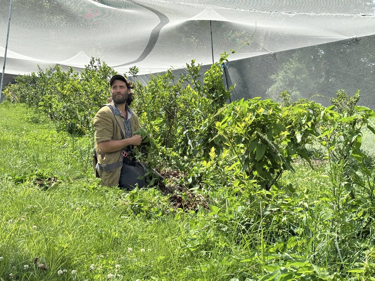 MaRosaLucchini's tweet photo. La Herencia De La Tierra https://t.co/fENahkCRHm via @YouTube
#farmers #farming #agricultor https://t.co/no5H2tX75Y