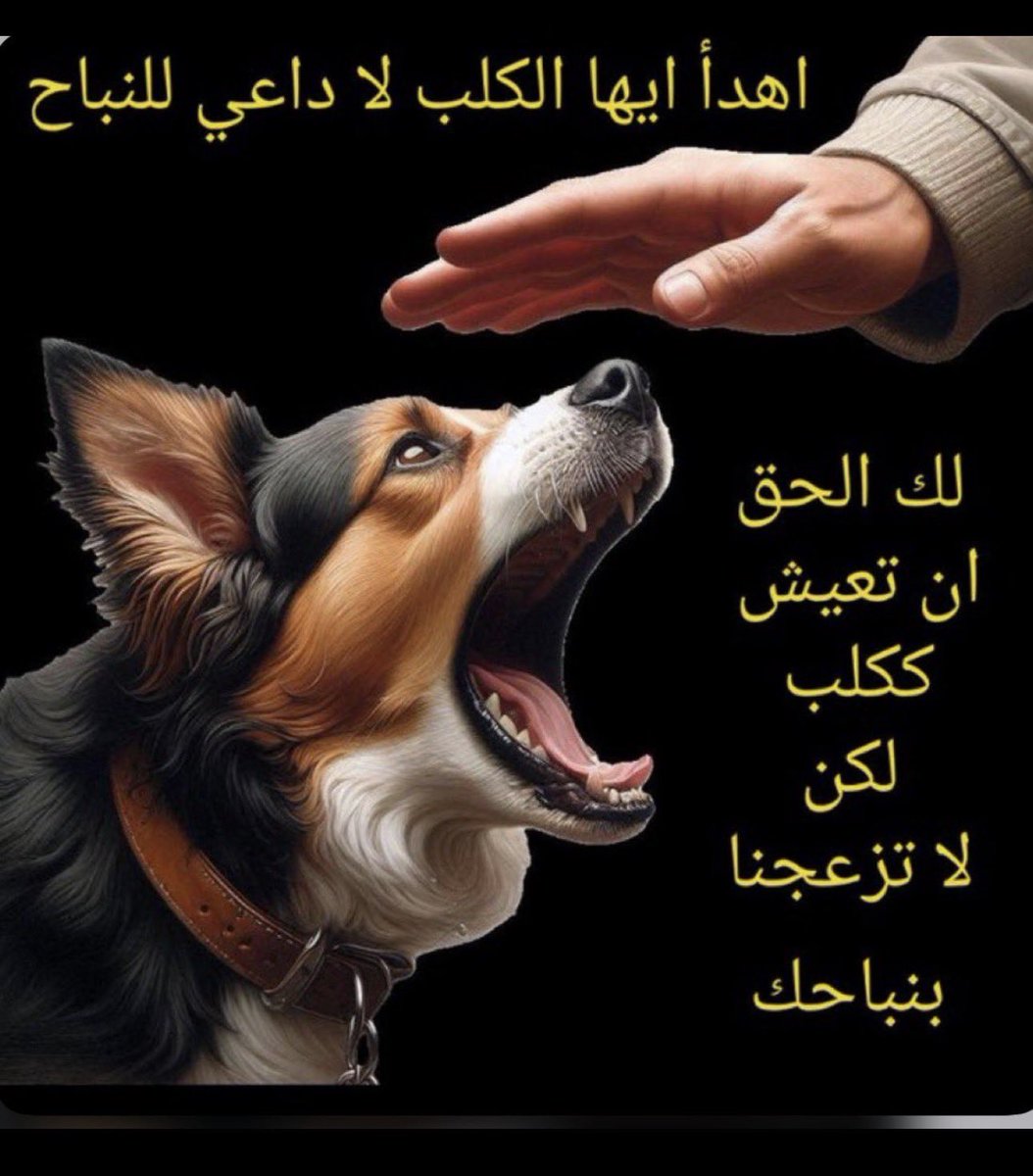 a11azza's tweet photo. @Abdulaziz534711 https://t.co/7KXnGCJu2G