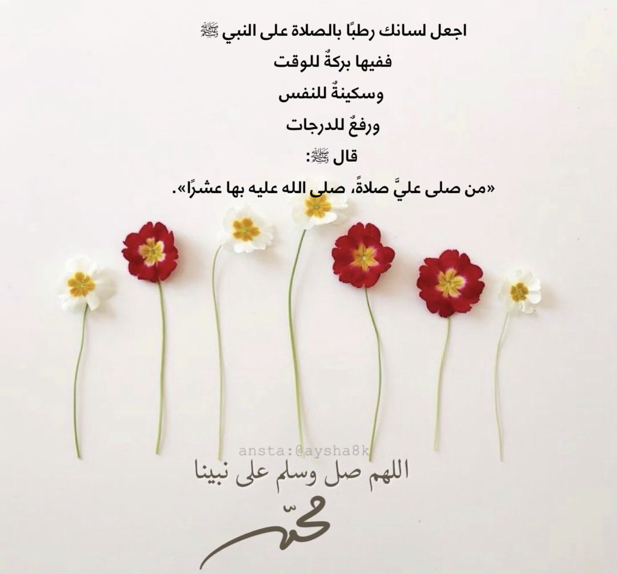 Az55_Az66's tweet photo. #ليلة_الجمعة 
#أطيب_الكلام https://t.co/n1HaYQMwRg