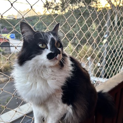 LuizOctavioLSil's tweet photo. #NovaFotoDePerfil https://t.co/ZQv30PZNDD