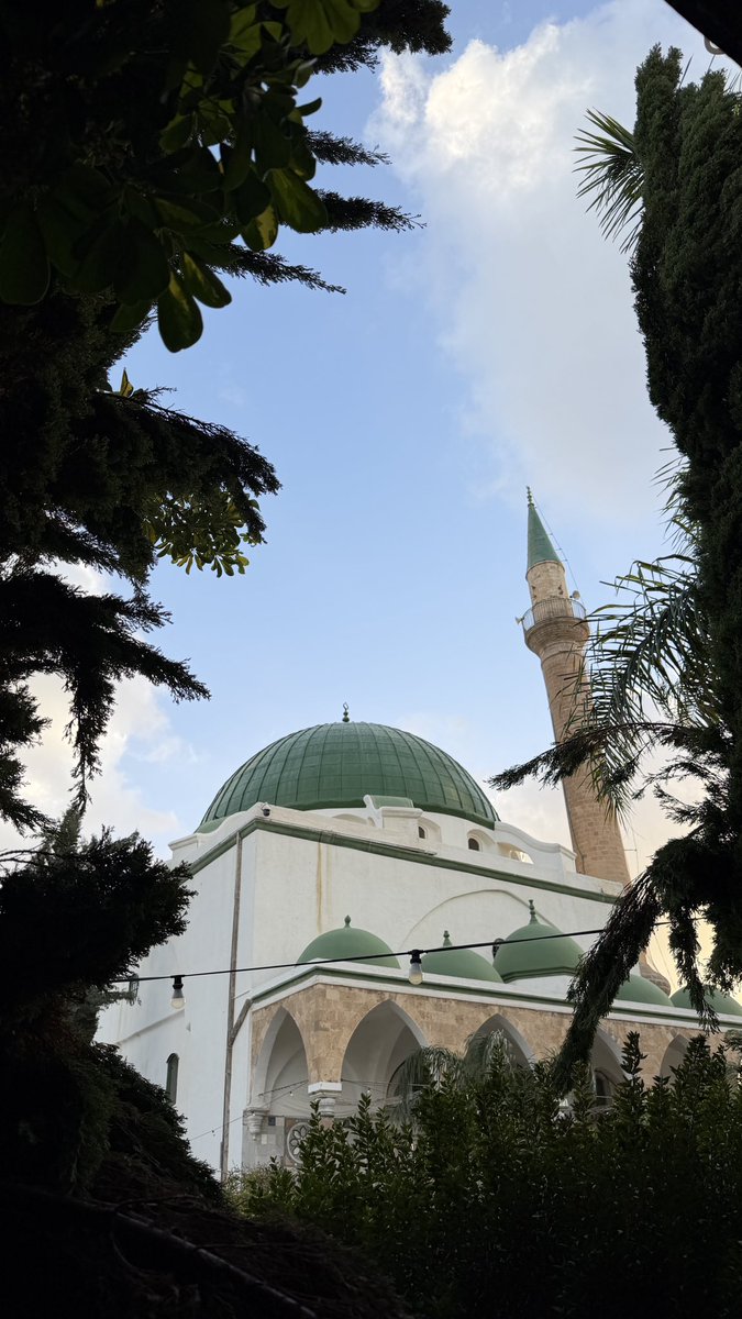 muhammadaw_'s tweet photo. عكّا https://t.co/y59iyWgeRD