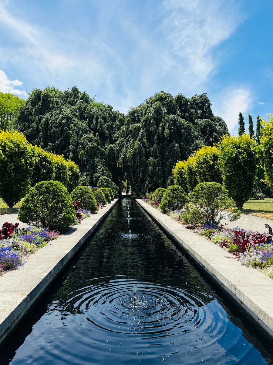 Amara_Vibrant's tweet photo. It looks really beautiful like that. Like Alice in Wonderland. https://t.co/lwE1C9IFg9