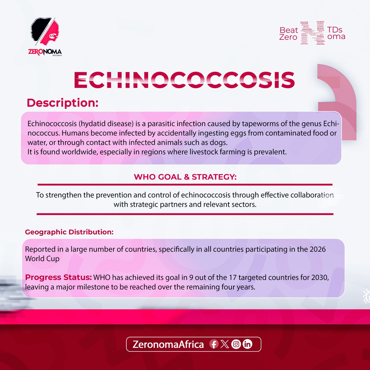 ZeronomaAfrica's tweet photo. We are racing towards the end of the current #NTDRoadmap. Increasing awareness of the diseases, the destruction it does, the targets is crucial to achieve the goals

#Echinococcosis 
#BeatNTDs 
#Zeronoma https://t.co/i5FIINTBba