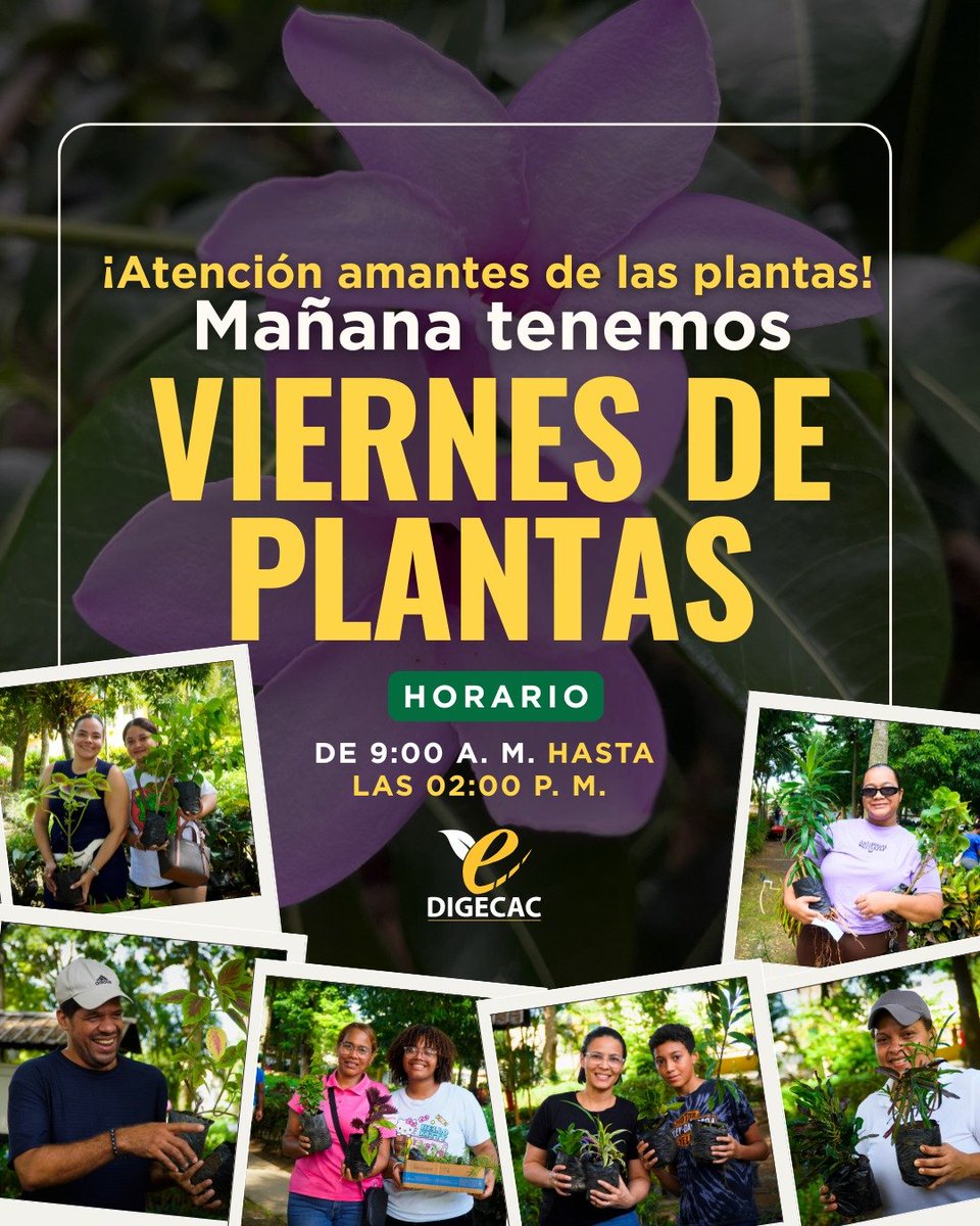 digecacrd's tweet photo. Te esperamos este viernes 03 de julio! Tenemos una nueva entrega de plantas

Desde la Digecac te invitamos a formar parte de esta iniciativa que promueve un entorno más verde y saludable 🌱.

🗓️ Viernes 03 de julio
✅ Recuerda: 2 plantas por persona | Un viernes sí y otro no https://t.co/BMGmDWiIOf