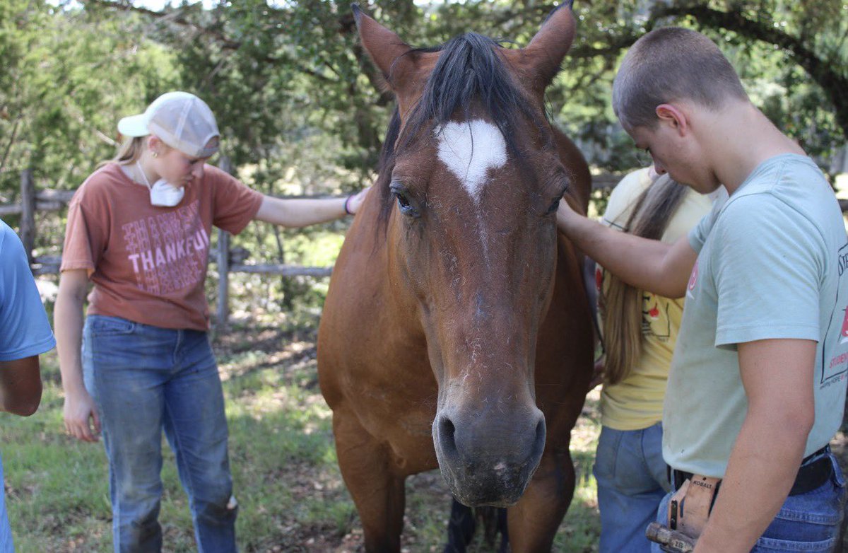 BounceSDR's tweet photo. When the BOUNCE team is helping a resident and then you get to meet their horse! 🐴 🤠 
#texasbaptists #bouncesdr #iamtexasmissions #missionsstrong https://t.co/GOasiXjvIK