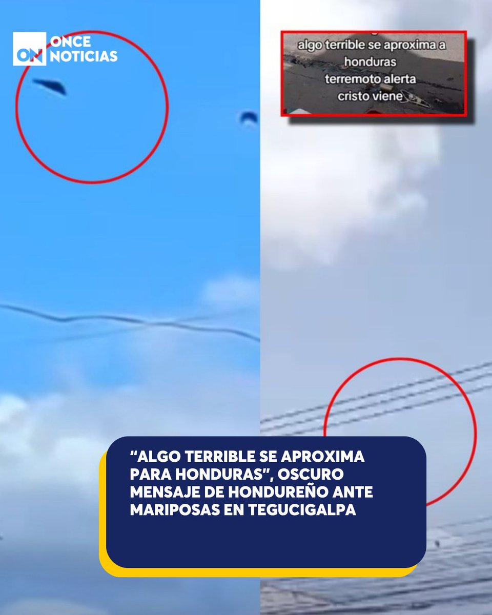 canal11hn's tweet photo. 😳Muchos en redes sociales reaccionaron ante este mensaje: “Algo similar ocurrió antes de la llegada del huracán Mitch” o “no hay que invocar cosas malas”. 

¿Por qué hay tantas mariposas?👉 https://t.co/gcjoSnBbxi

#Mariposas #Tegucigalpa #Viral https://t.co/ju8s3tADCJ