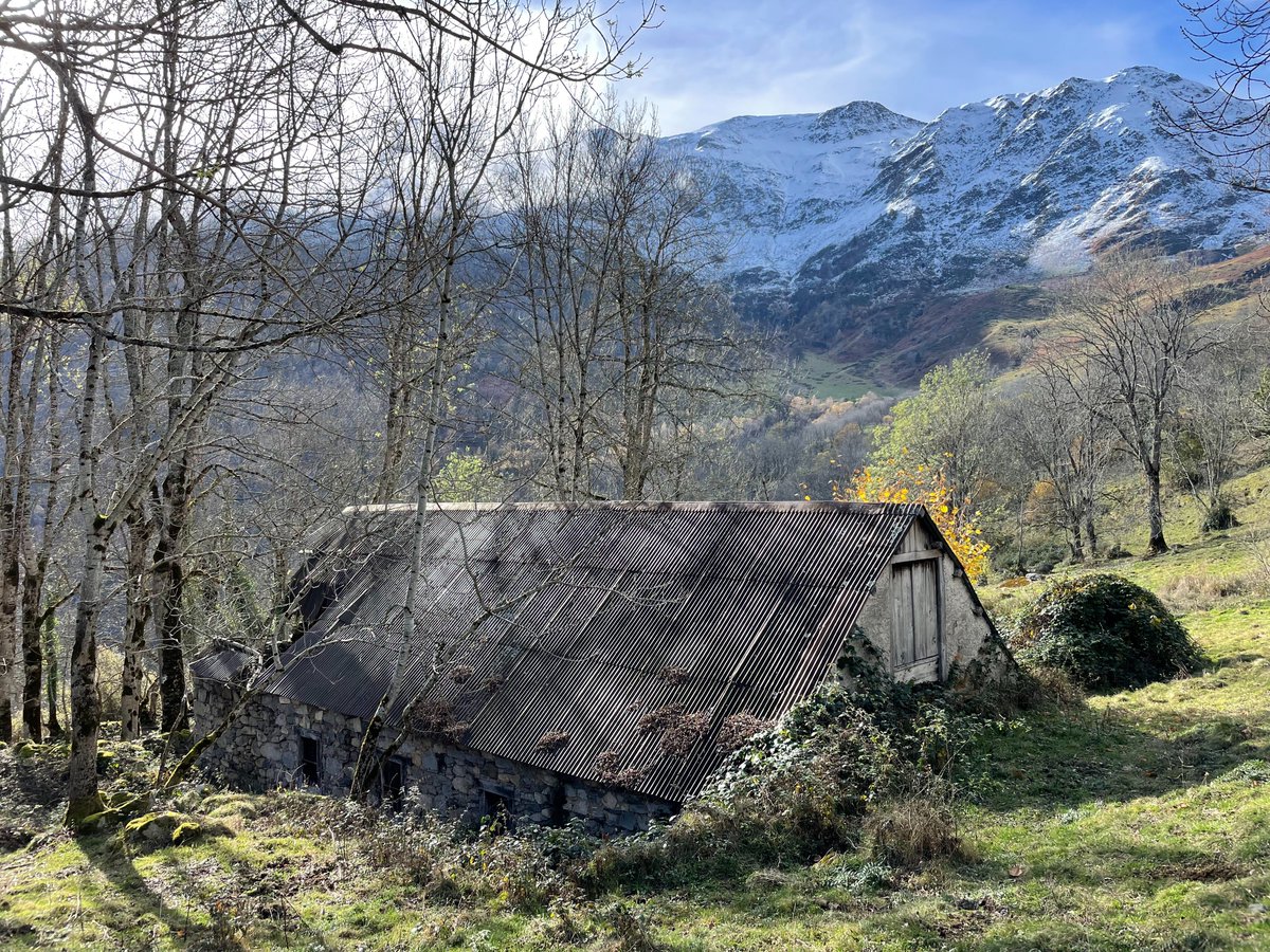 loixlab's tweet photo. Currently splitting my time between two things:

💻 Building @tradegist (making Google Sheets run like real software)
🏔️ Renovating an off-grid barn in the Pyrenees

Expect tweets about Google Apps Script architecture, bootstrapping solo, and occasionally moving heavy stones. https://t.co/m0ZQ3kP5bl