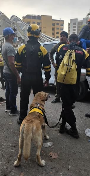 AdaCmkc's tweet photo. Nuestros rescatistas  decididos a brindar su mano solidaria
#CubaSolidaria
#VenezuelaNoEstáSola
#SantiagoDeCuba @LaCmkc https://t.co/K8RZ020ySX