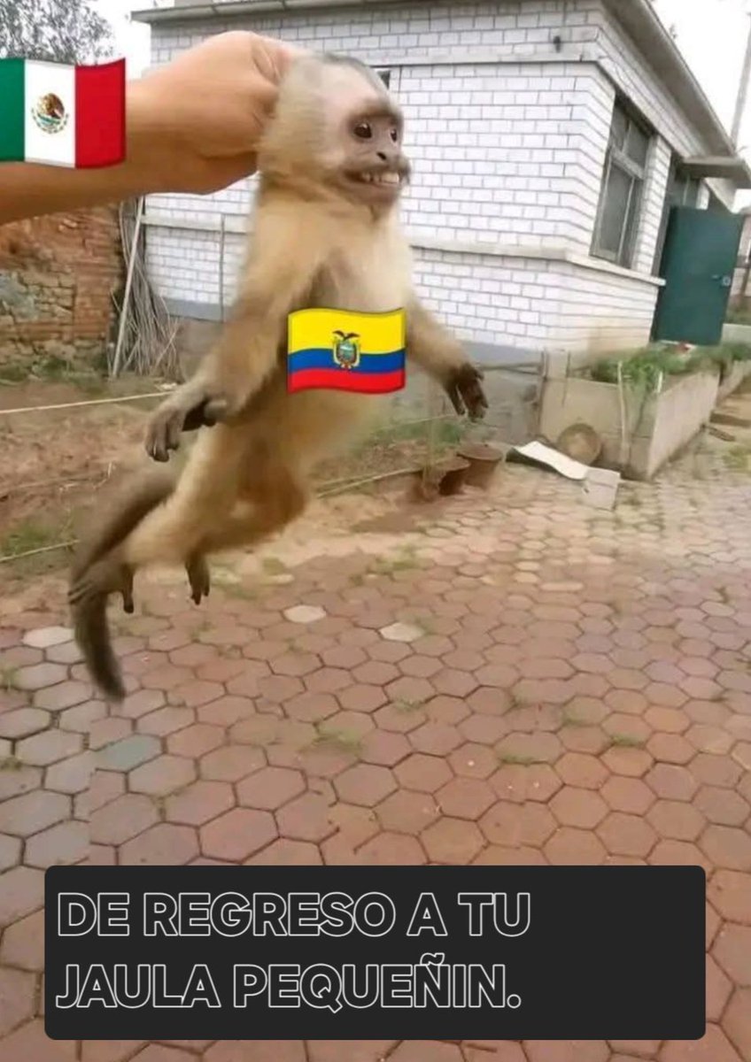 DavidArist48909's tweet photo. @amarilloxsiemp @joserra_espn A seguir llorando carbón 🤣🤣🤣 https://t.co/R2vjcdeVX9