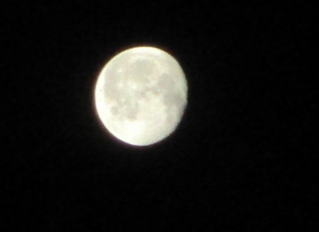 DeepRed_ver's tweet photo. 十七夜の立待月は　こんな感じ🌖
今夜は寒いくらい涼しい😀

《皇后驾到》 https://t.co/9OwXqbKRXy