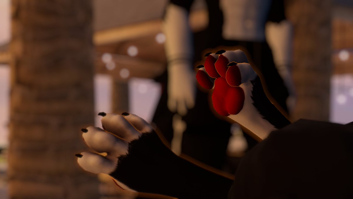 FengLion00's tweet photo. my paws! https://t.co/ndubzDbewx