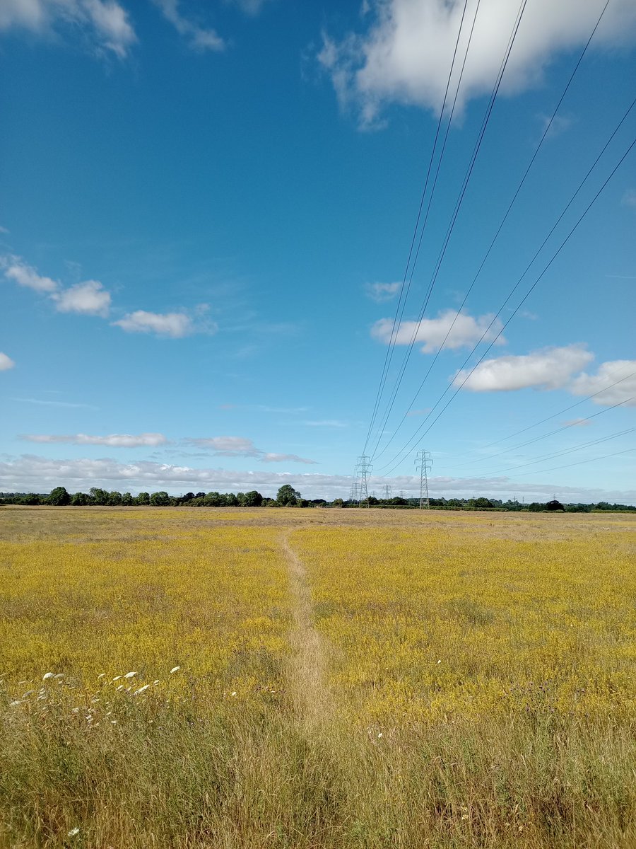 phil0073's tweet photo. Dear @BooksTeaFilms &
@warisulrahin thank you for your reposts & support. Best regards #PhilOnaBike π #Early4 #FootpathFriday #clouds https://t.co/e35f2vzKBt