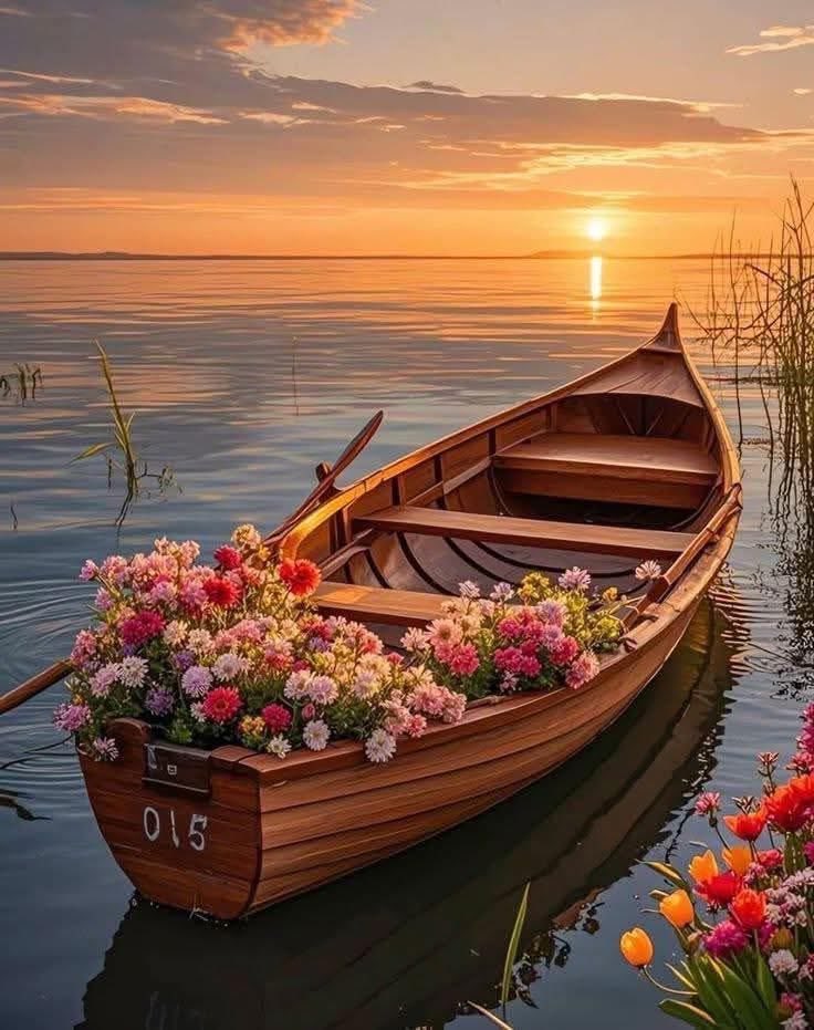 kalppimm's tweet photo. Gökyüzü her akşam aynı renge bürünür ama,

Herkes başka bir şey görür...

Güzel akşamlar. 🌆 https://t.co/oVvHGRVhiX