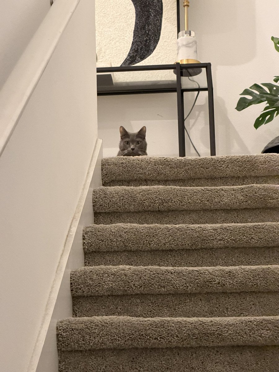 ky7er's tweet photo. 😾 https://t.co/MRierM2qS3