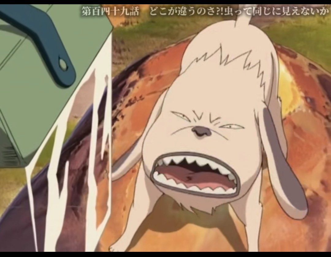 ShinoYellow's tweet photo. NARUTOのイッキ見💘続いては✨シノが🌀これは　間違いない尾行虫だ🌀と言い　確認成功だな（笑）🤩💕 https://t.co/Cj7HSey1hg