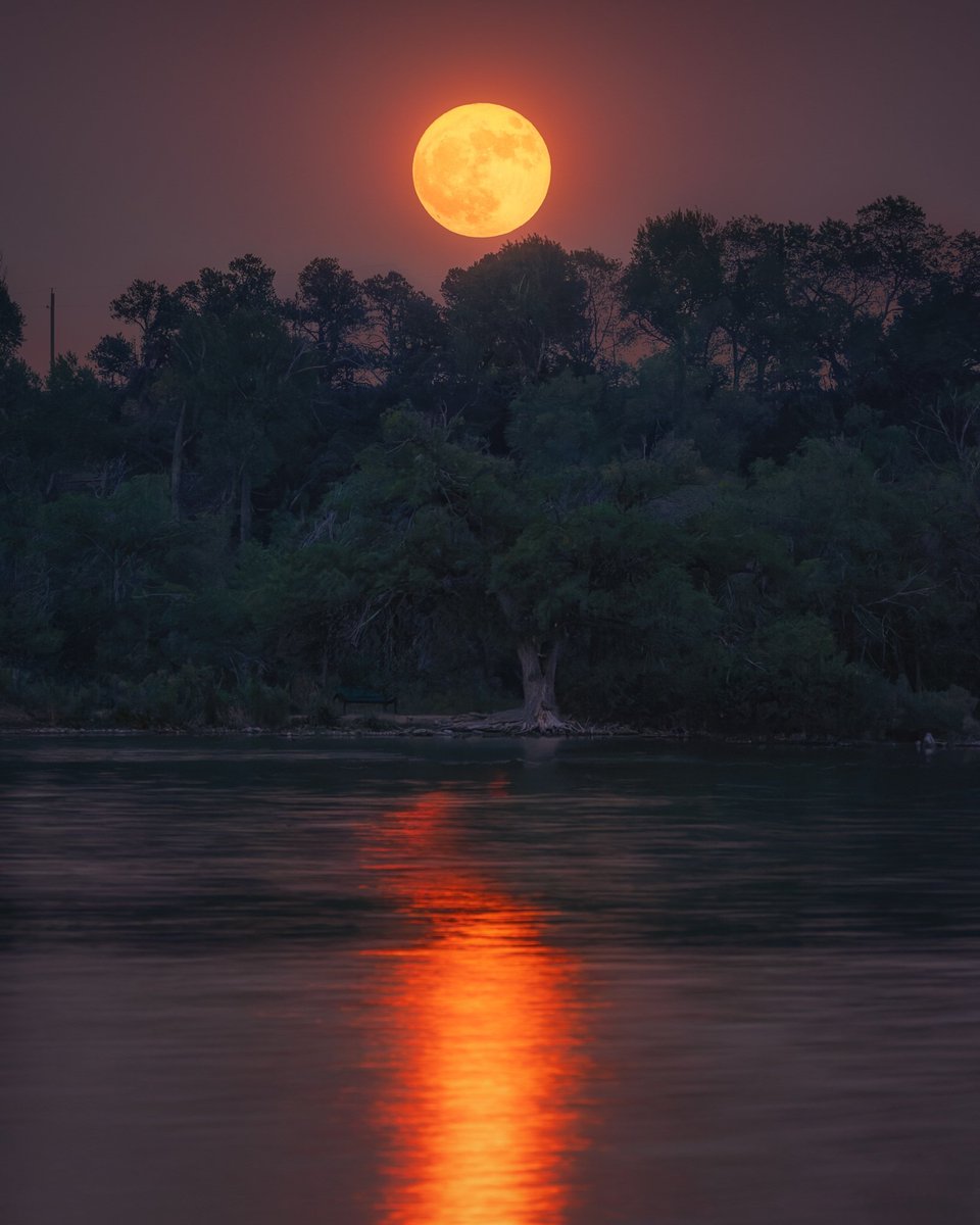 jacolek1981's tweet photo. Golden full moon 🌕 https://t.co/OA8Bw4ehHH