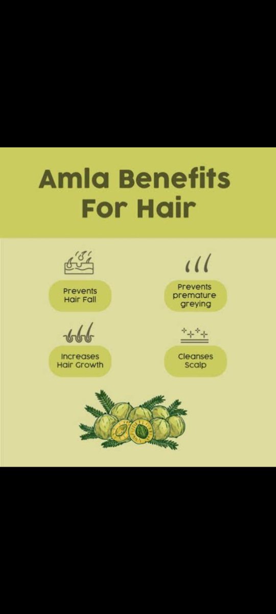 dailyHelthyTips's tweet photo. @FitnessDr_ Amla, also known as Indian gooseberry, is packed with antioxidants and vitamin C, promoting hair health by strengthening follicles and stimulating growth. Including it in your diet nourishes hair from within, leading to stronger, healthier strands. https://t.co/ukjUfUf9lh